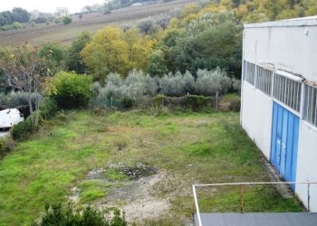 capannone grottammare (37).JPG - Capannone Acquaviva Picena - foto 14