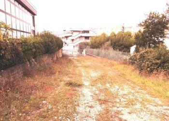 capannone grottammare (1).JPG - Capannone Acquaviva Picena - foto 17