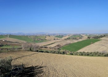 20240214_101805.jpg - Casa indipendente Via Fontenova snc, Jesi - foto 3