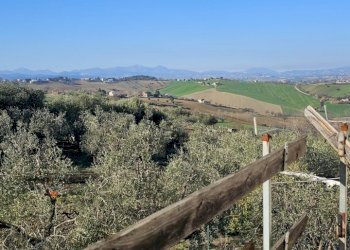 20240214_095708.jpg - Casa indipendente Via Fontenova snc, Jesi - foto 4