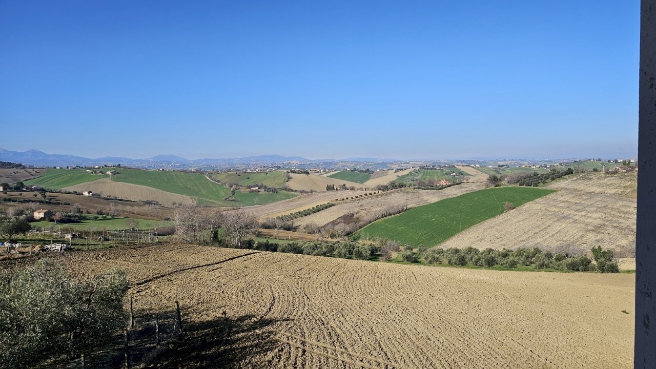 20240214_101805.jpg - Independent house via Fontenova snc, Belvedere Ostrense - photo 2