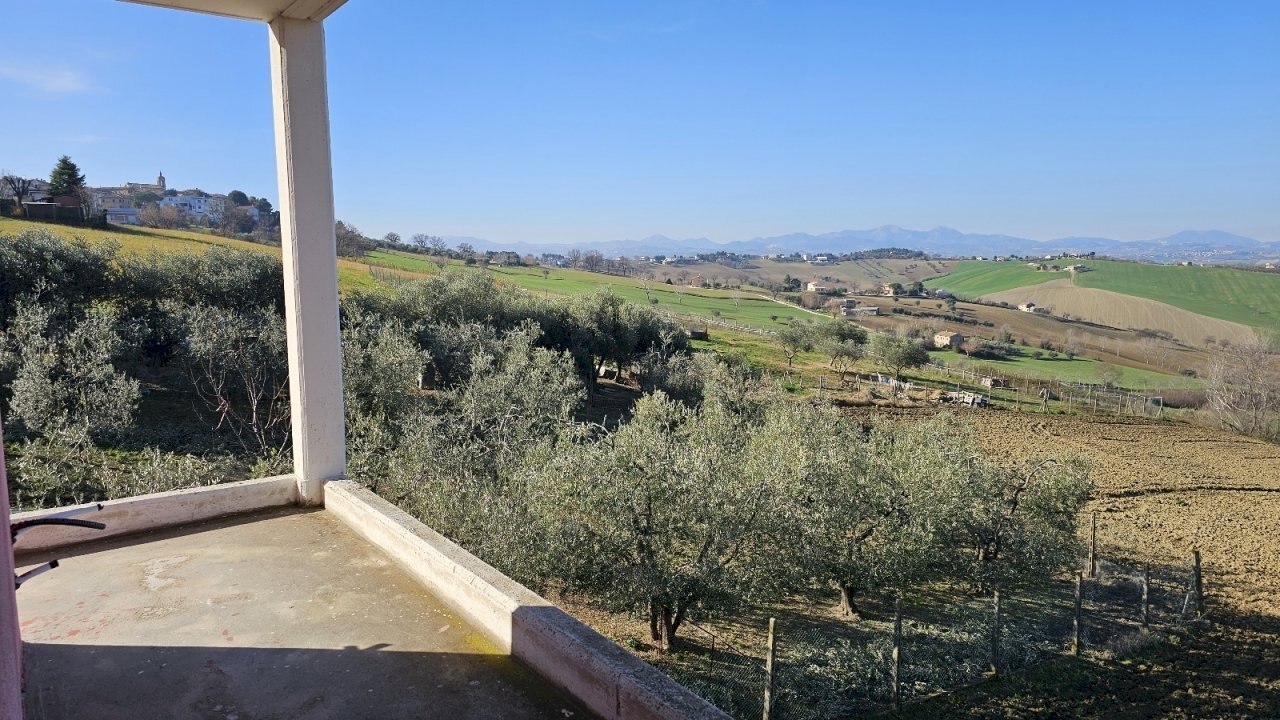 20240214_101812.jpg - Independent house via Fontenova snc, Belvedere Ostrense - photo 3