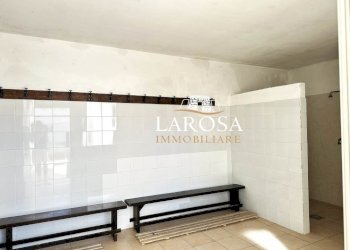 23.jpg - Locale Commerciale Via Ugo Foscolo, Cavallino - foto 23