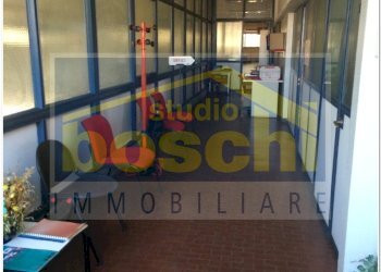 Capannone Zola Predosa - foto 8