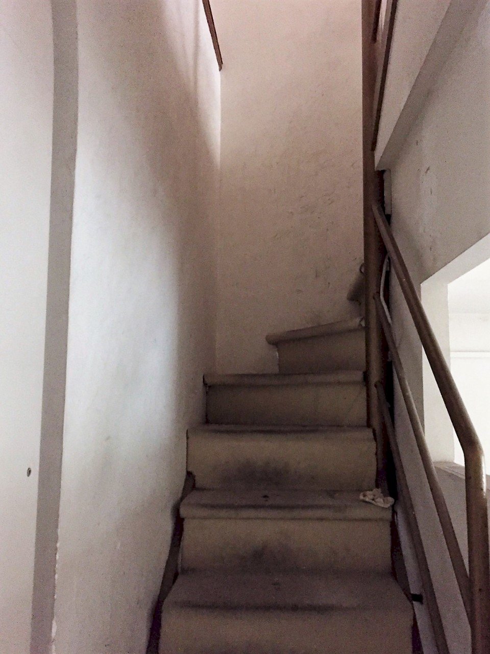 Negozio Reggio nell'Emilia - foto 3