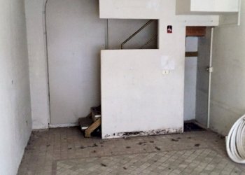 Negozio Reggio nell'Emilia - foto 2
