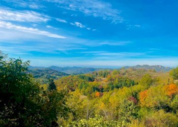 Vista - Villa via Castagnola, Gremiasco - foto 16