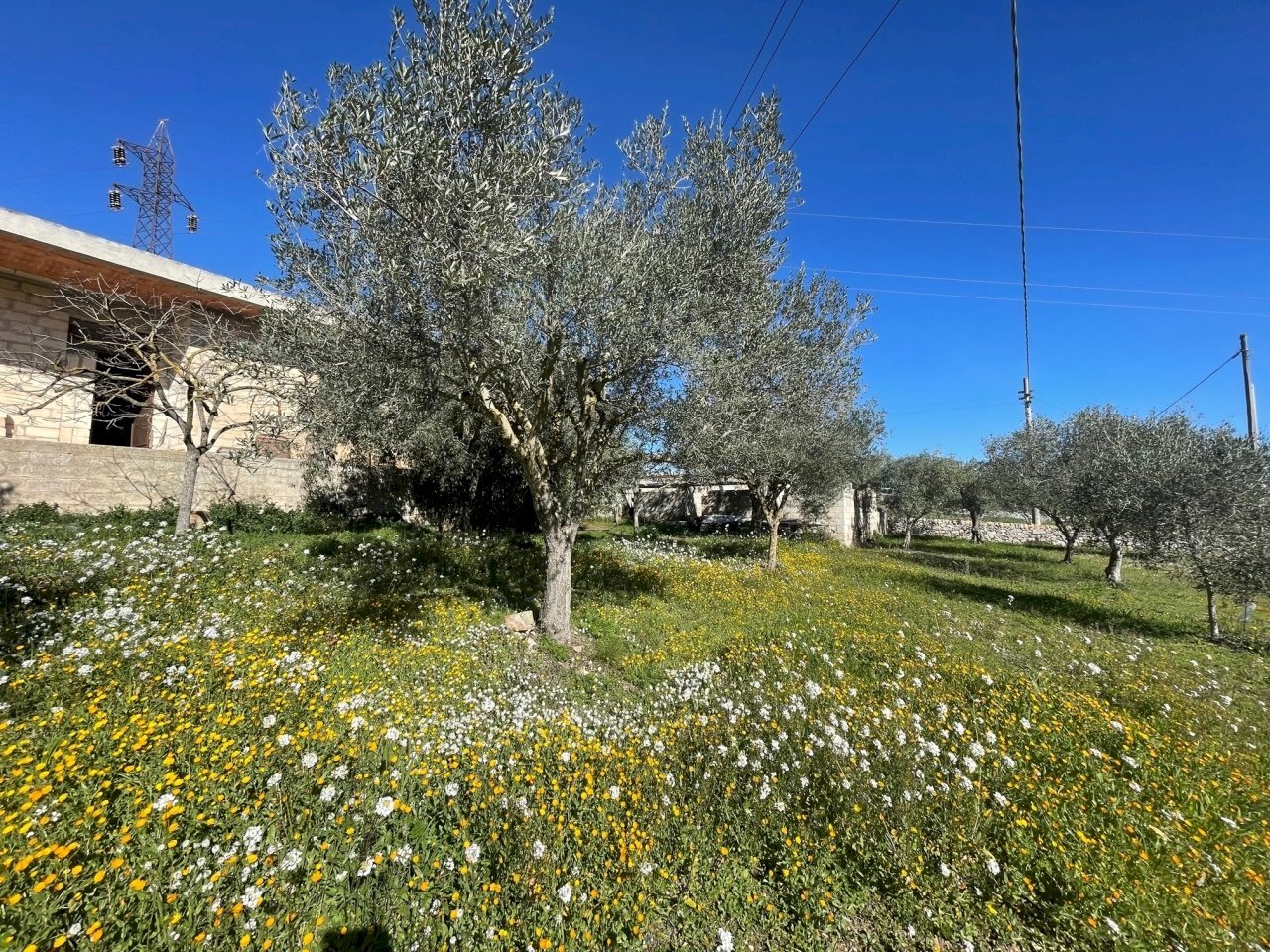 IMG_9519.jpg - Rustico Via Loreto Gallinara, Modica - foto 3