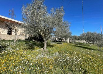 IMG_9519.jpg - Rustico Via Loreto Gallinara, Modica - foto 3