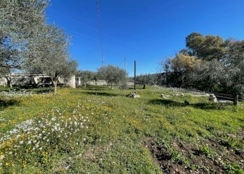 IMG_9520.jpg - Rustico Via Loreto Gallinara, Modica - foto 4