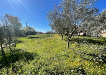 IMG_9531.jpg - Rustico Via Loreto Gallinara, Modica - foto 7