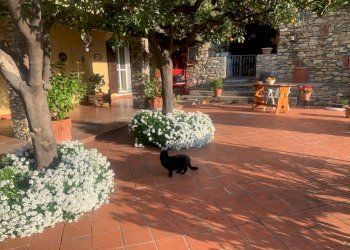 spazio esterno - Villa Via Adelasia, Alassio - foto 23