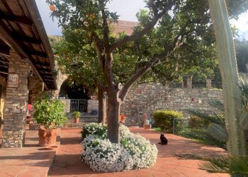 spazio esterno - Villa Via Adelasia, Alassio - foto 26