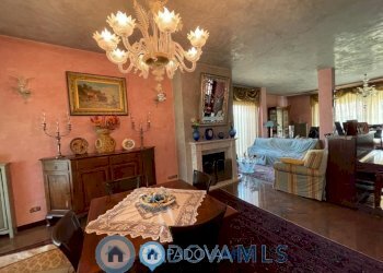 img657a2f91c9f5f.jpg - Casa indipendente Via Monte Cengio, Vigonza - foto 9