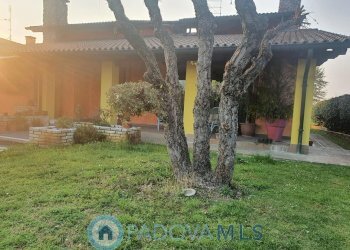 img657a2f9366aa4.jpg - Casa indipendente Via Monte Cengio, Vigonza - foto 19