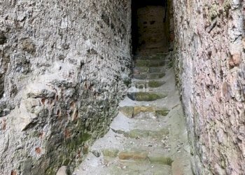 IMG_3147.jpg - Magazzino Arcola - foto 14