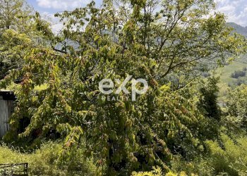 Casa indipendente Frazione Lumello, Ponte Nizza - foto 30