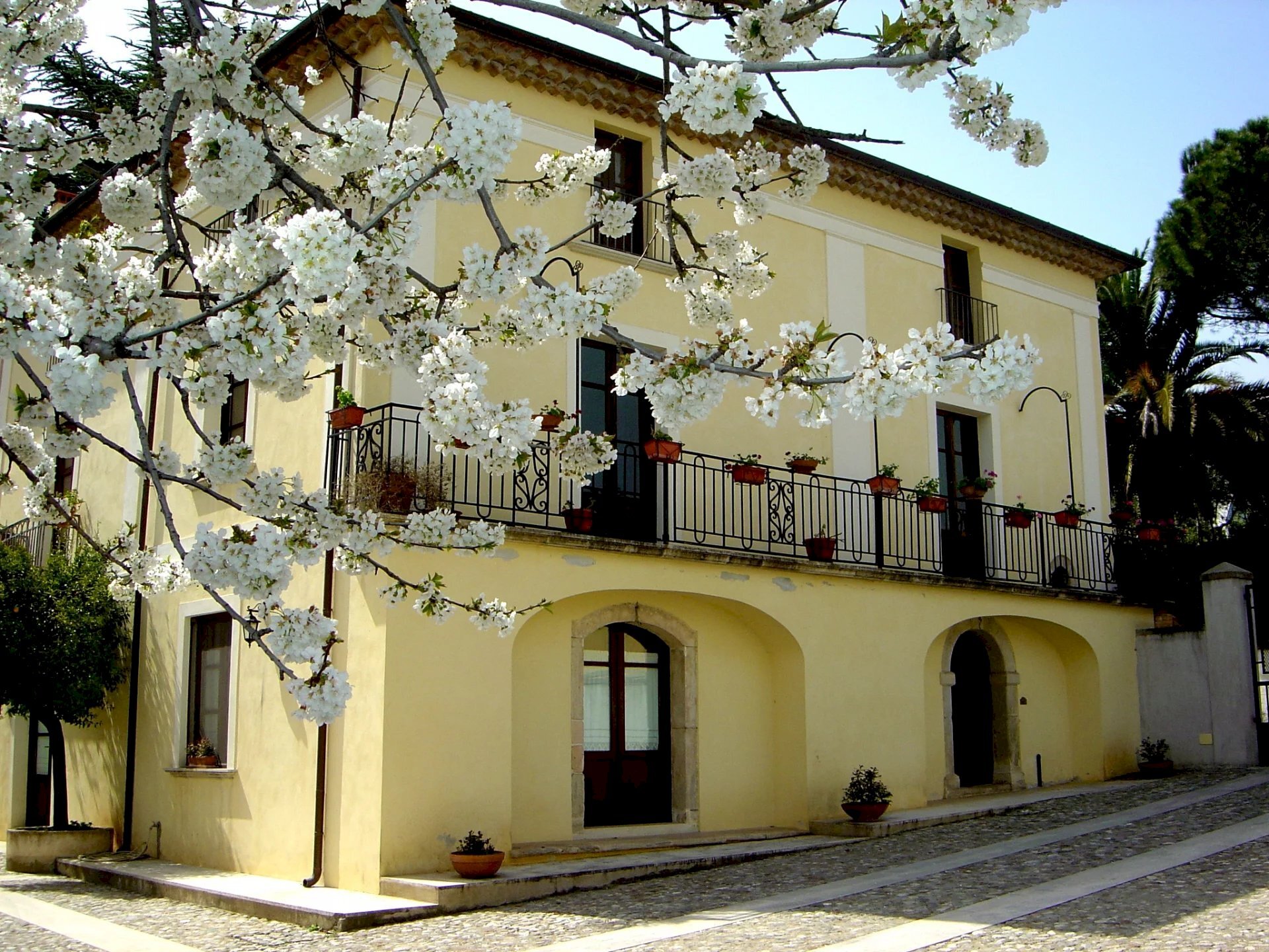 Villa Marano Marchesato - photo 1