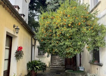 Villa Marano Marchesato - photo 5