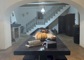 Villa Marano Marchesato - photo 19