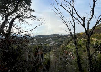 Rustic Strada Gardiora, Bordighera - photo 13