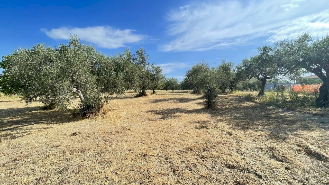 terreno - Agricultural land Silvi - photo 3