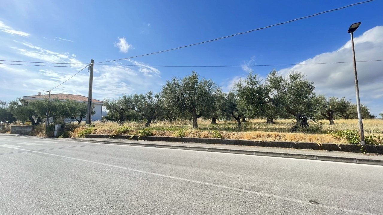 strada - Agricultural land Silvi - photo 1