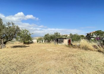 terreno - Agricultural land Silvi - photo 2