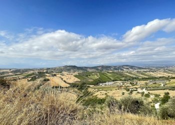 viste - Agricultural land Silvi - photo 4