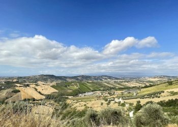 viste - Agricultural land Silvi - photo 7