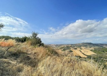 viste - Agricultural land Silvi - photo 9