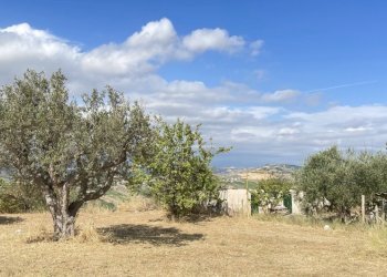 terreno - Agricultural land Silvi - photo 16