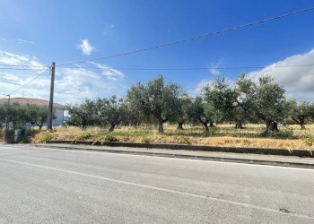 strada - Agricultural land Silvi - photo 1