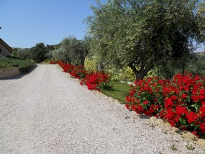 Villa Via del semaforo, Martinsicuro - foto 2