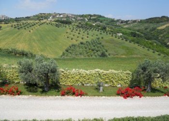 Villa Via del semaforo, Martinsicuro - foto 12