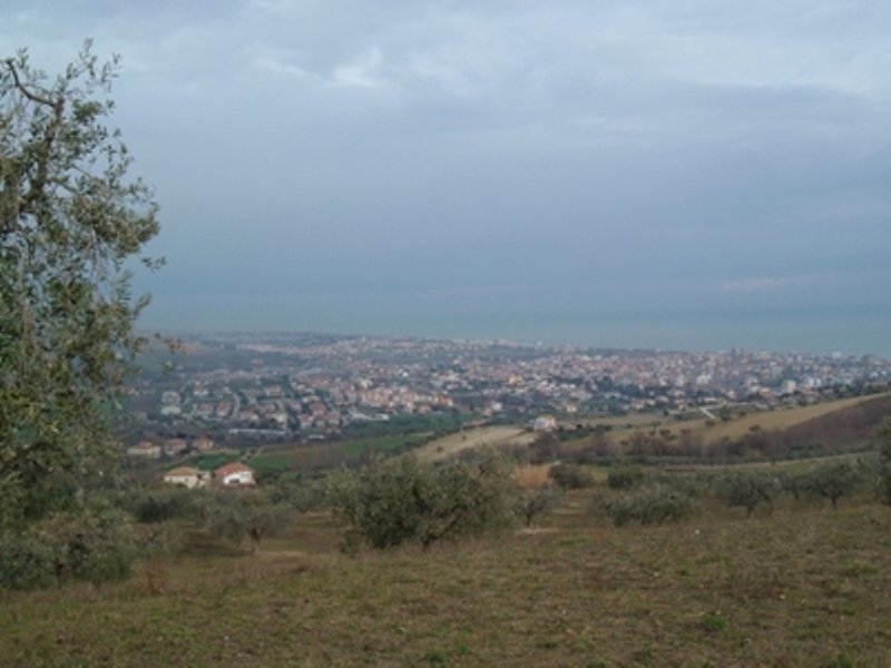 Terreno agricolo Via Sant'Angelo, Tortoreto - foto 1
