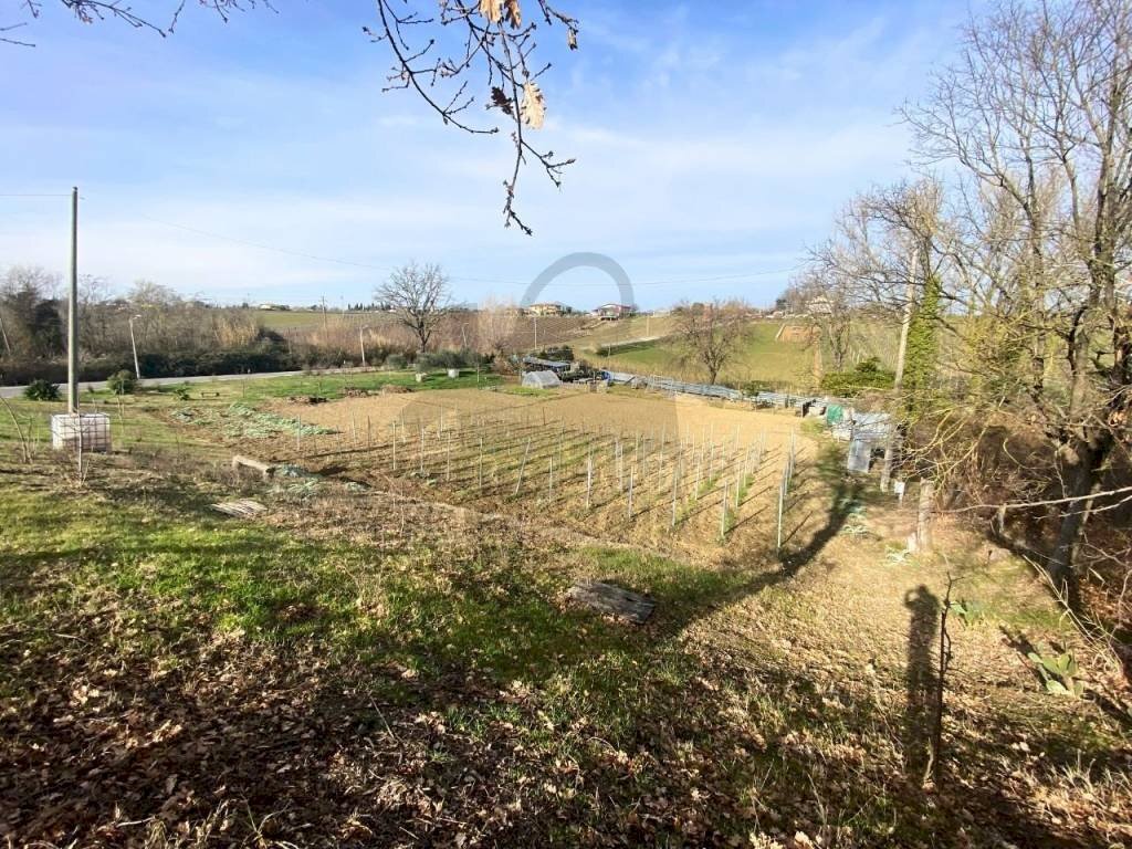 Terreno - Terreno agricolo via San Paolo, 19, Rimini - foto 2