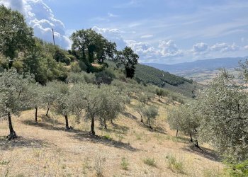 Rustico Trevi-Bovara, Trevi - foto 5