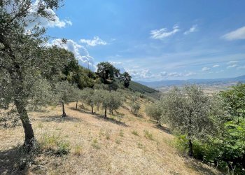 Rustico Trevi-Bovara, Trevi - foto 6