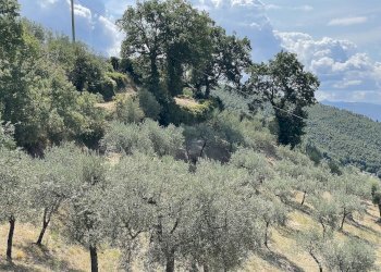 Rustico Trevi-Bovara, Trevi - foto 7