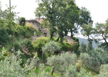 Rustico Trevi-Bovara, Trevi - foto 9