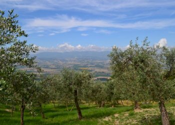 Rustico Trevi-Bovara, Trevi - foto 10