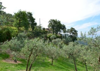 Rustico Trevi-Bovara, Trevi - foto 11