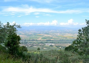 Rustico Trevi-Bovara, Trevi - foto 15