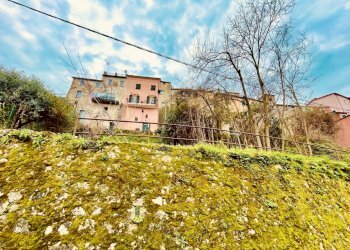 IMG_2959.jpg - Terratetto - Terracielo Arcola - foto 5