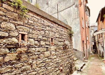 IMG_2957.jpg - Terratetto - Terracielo Arcola - foto 16