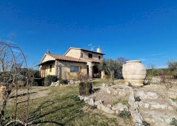 20240131_143824.jpg - Casale Vocabolo Poggio, Montecastrilli - photo 3