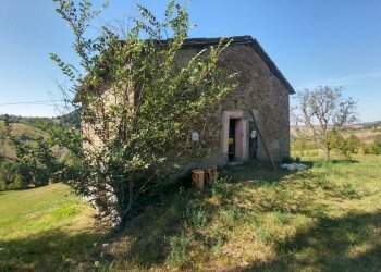 rustico Montorsello (4).jpg - Rustico via buzzeda, Guiglia - foto 4