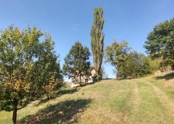 rustico Montorsello (6).jpg - Rustico via buzzeda, Guiglia - foto 6