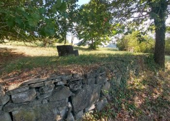 rustico Montorsello (8).jpg - Rustico via buzzeda, Guiglia - foto 8